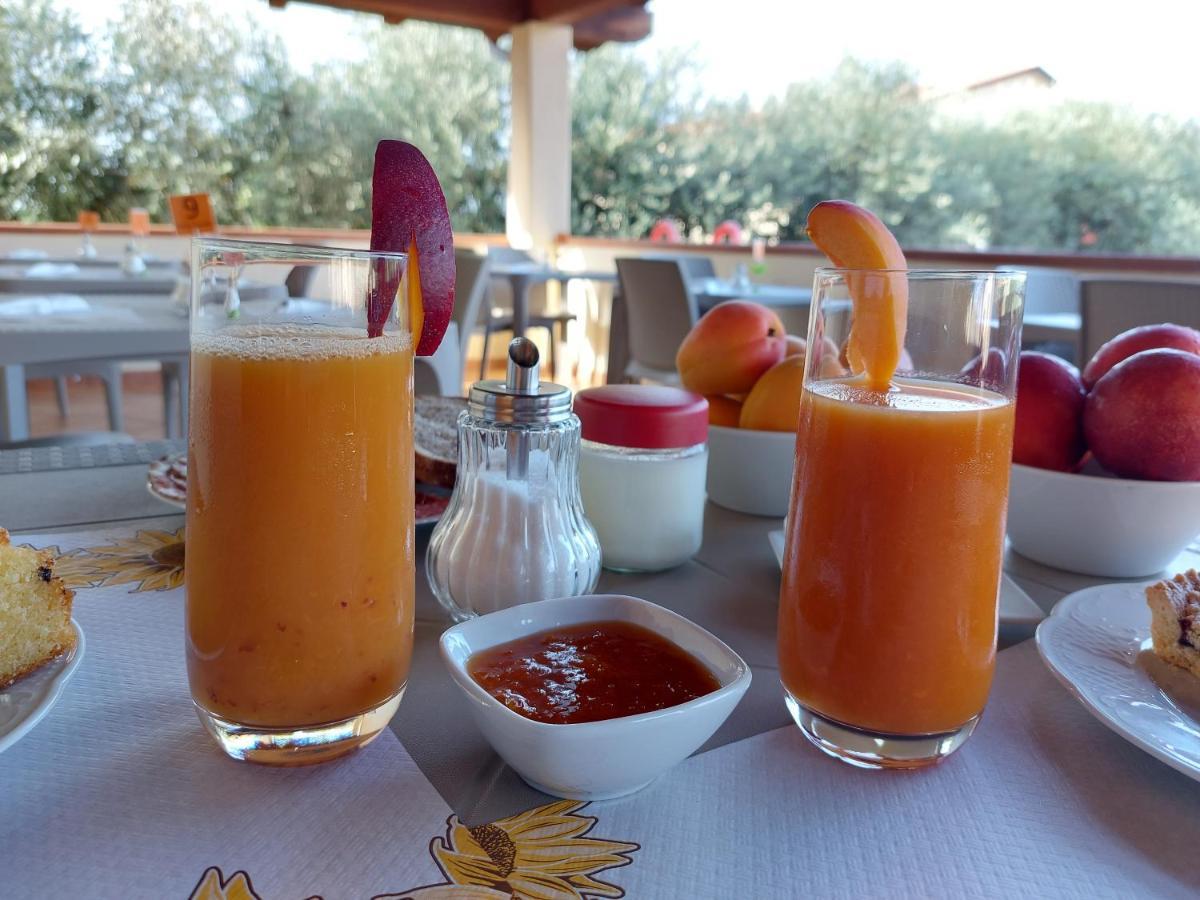 Agriturismo La Fata Гросето Екстериор снимка